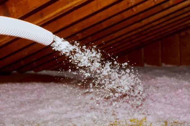 Best Commercial Insulation in Meadowbrook, CA