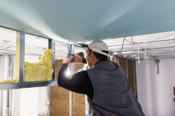 Best Specialty Insulation in Meadowbrook, CA